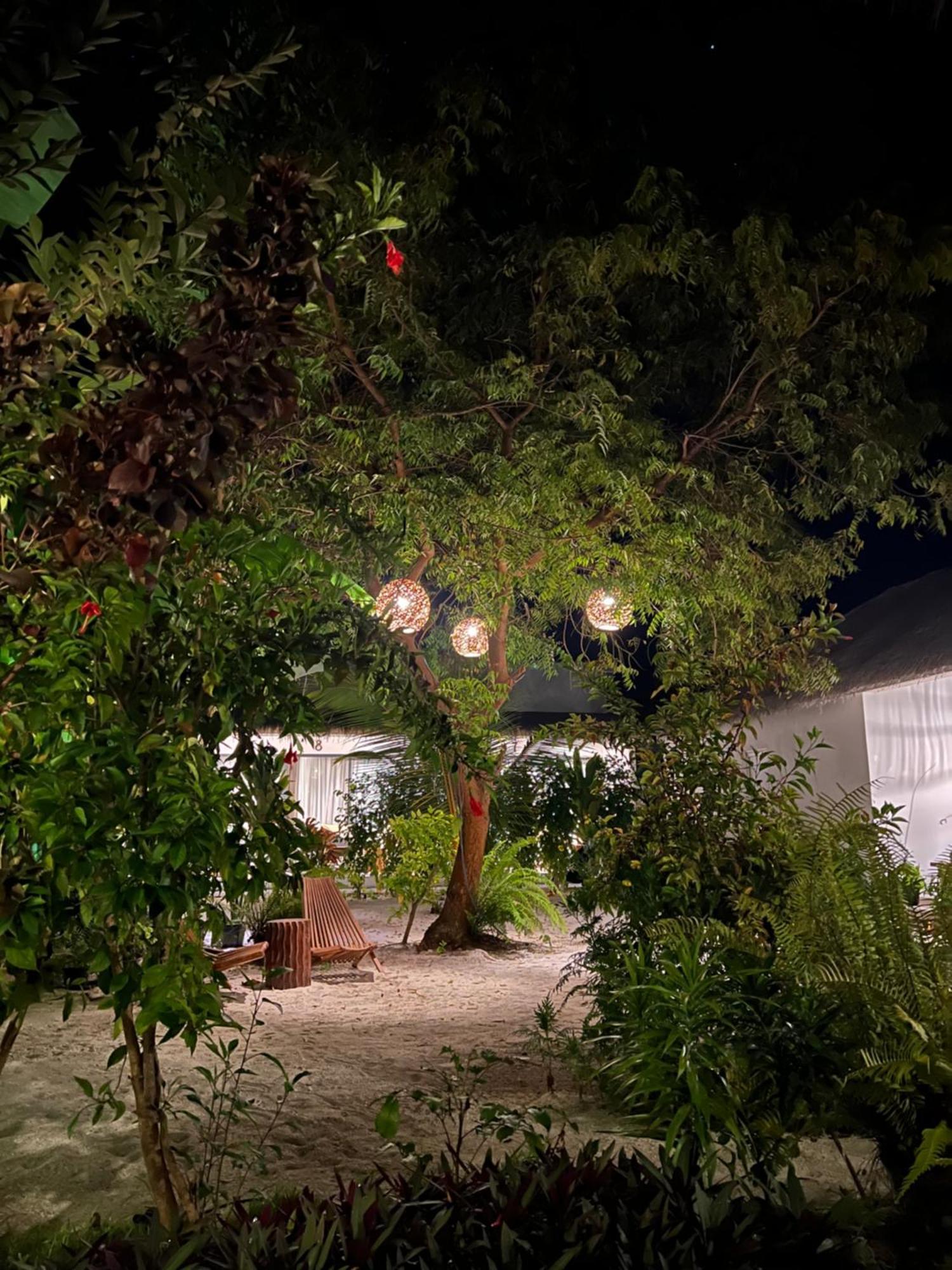 Coco Villa Thoddoo Bagian luar foto