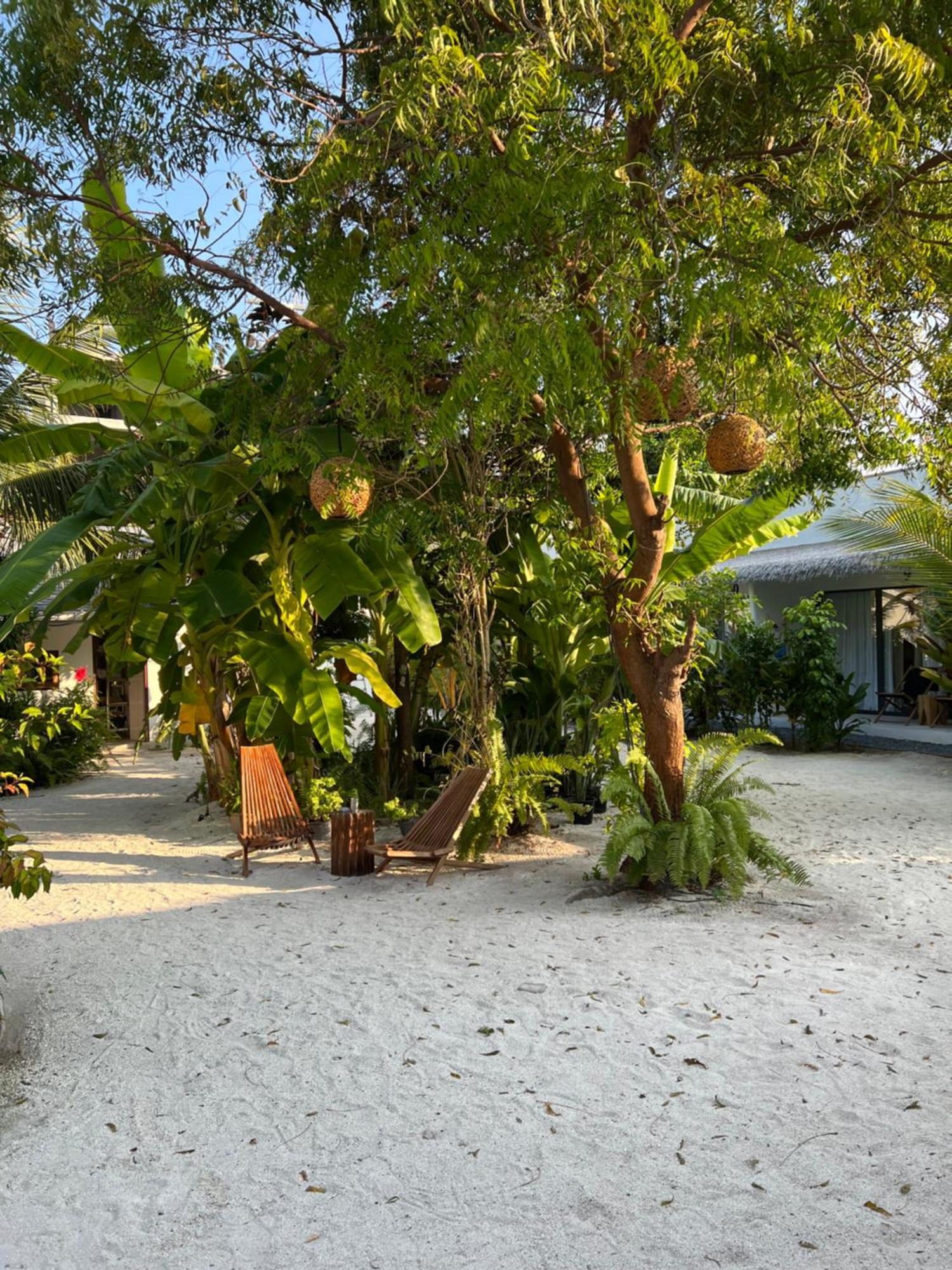 Coco Villa Thoddoo Bagian luar foto