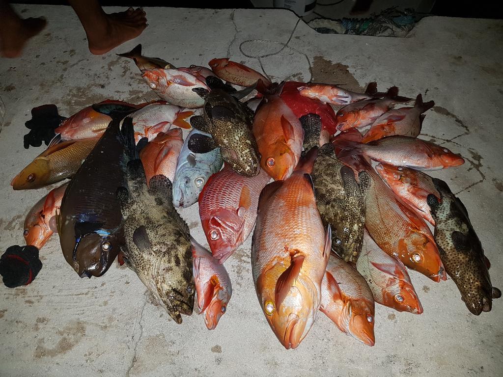 Coco Villa Thoddoo Bagian luar foto