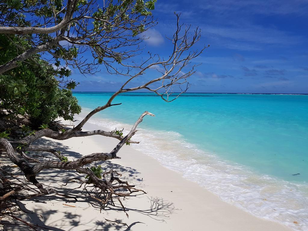 Coco Villa Thoddoo Bagian luar foto
