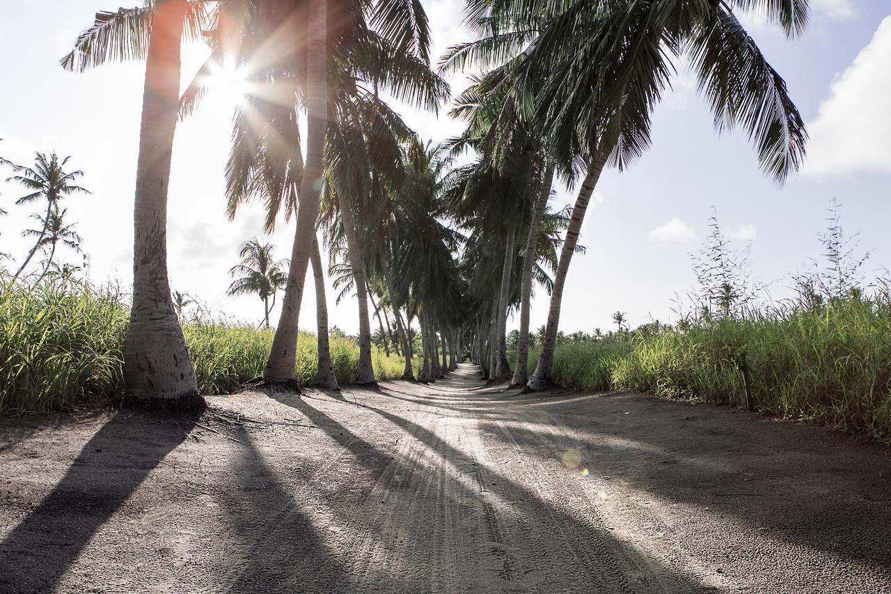 Coco Villa Thoddoo Bagian luar foto