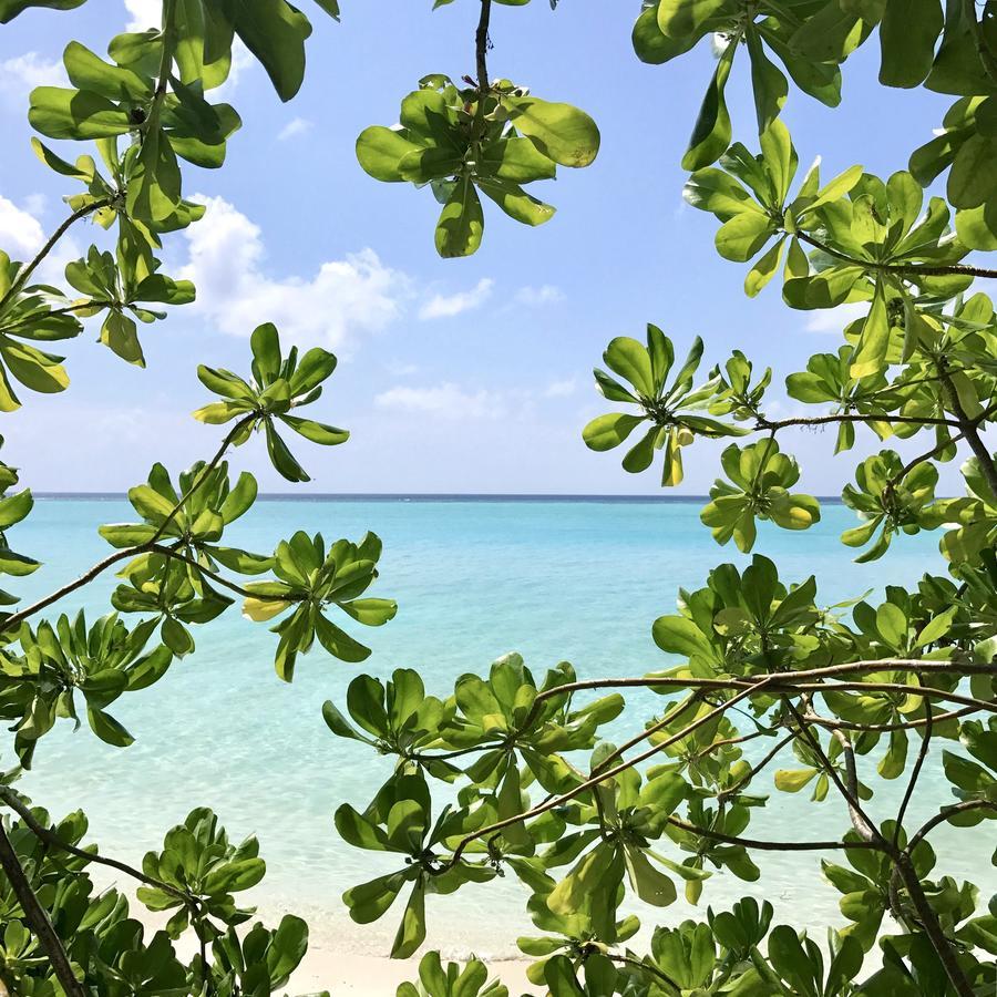 Coco Villa Thoddoo Bagian luar foto
